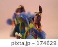 174629
