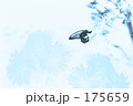 蝶の世界 蝶の世界