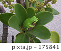 あっ、雨？