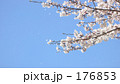 舞う