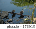なかよく