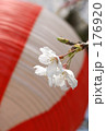 桜の咲く頃