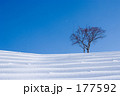 雪 グラデーション