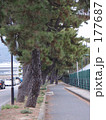 散歩道〜芦屋界隈vol1