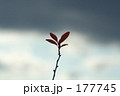 生きる