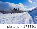 深雪の道