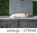 179090