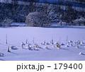 雪化粧