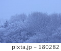 2008年2月3日 午前 8:30