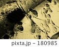 踏みならされた轍