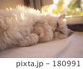 うたたねの時間