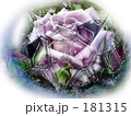 ブルーローズ