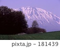 牧草地と岩手富士