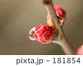 f0739