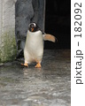 182092