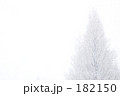 銀の世界