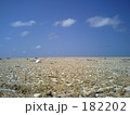 浜辺