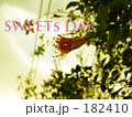 SWEETsDAY. SWEETsDAY.
