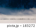 雪の鼓動