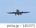 飛行機