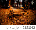 One bench