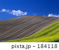 青空と花の丘