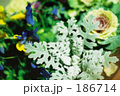 186714