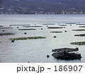 錦江湾のいけす