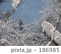 素材ナンバー 186985 : 「雪景色」
