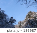 素材ナンバー 186987 : 「雪の空」