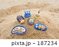 変な生き物　アメフラシ