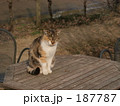 187787