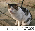 187809