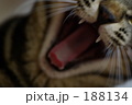 188134