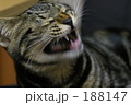 188147
