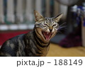 188149