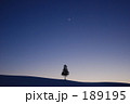 夕陽の木と月