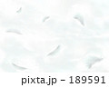 空色の羽根 空色の羽根