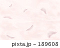 薄紫色の羽根 薄紫色の羽根