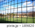 サッカー観戦
