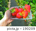 素材ナンバー 190209 : 「おひとついかが？」