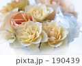 薔薇　２