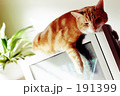 旧型TV 旧型TV