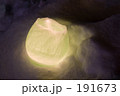素材ナンバー 191673 : 「冬花」