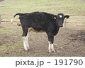 191790
