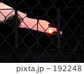 高架とフェンス、夕日