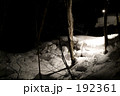 雪道の街灯