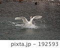 着水