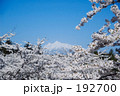 桜と岩木山
