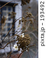 早春賦　１３